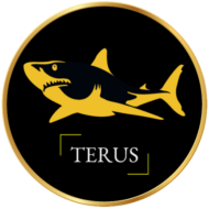 Terus Technology