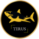 Terus Technology